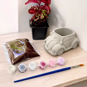 מארז DIY – צביעה ושתילה מכונית חיפושית